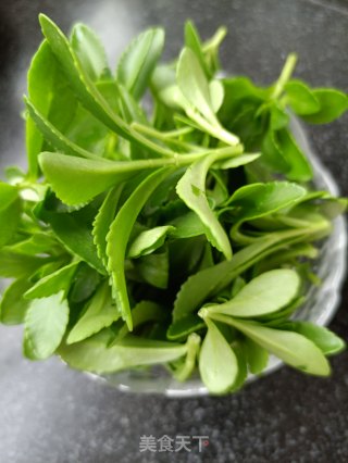 养心菜糯米肠沙拉的做法步骤：4