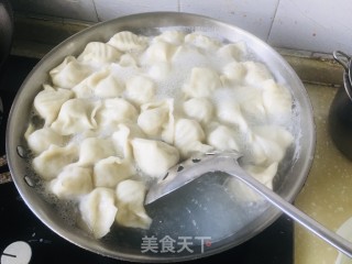 香芹大肉水饺的做法步骤：11