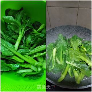 蒜蓉炒菜心的做法步骤：4
