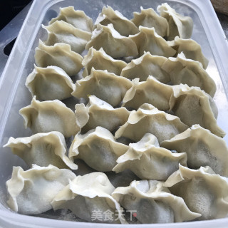 芹菜鲜肉饺子的做法步骤：9