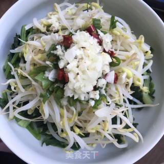 菠菜拌小豆芽的做法步骤：6
