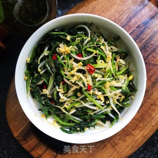 菠菜拌小豆芽的做法步骤：9