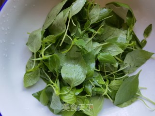 荆芥拌木耳的做法步骤：5