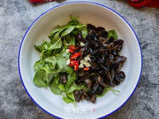 荆芥拌木耳的做法步骤：7