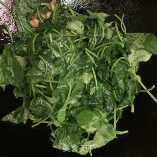 黄豆酱炒番薯叶的做法步骤：5