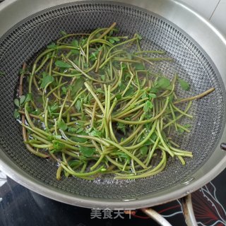 腊猪舌炒马齿苋梗的做法步骤：4