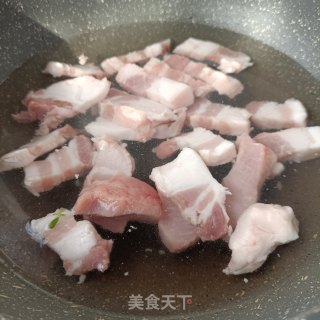 酸萝卜胡萝卜烧肉的做法步骤：4