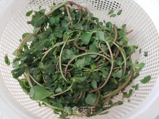 蒜泥拌马齿苋的做法步骤：1
