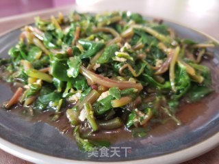 蒜泥拌马齿苋的做法步骤：7