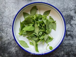 荆芥木耳拌鸡蛋皮的做法步骤：1