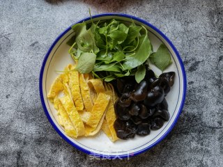 荆芥木耳拌鸡蛋皮的做法步骤：8
