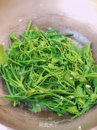 蒜蓉佛手瓜苗的做法步骤：3