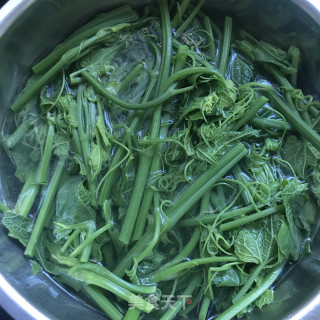 油泼南瓜苗的做法步骤：4