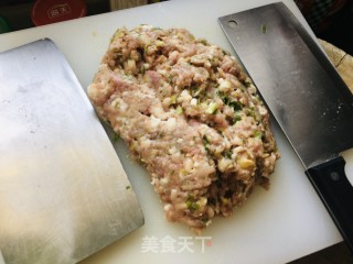 大肉西葫芦水饺的做法步骤：3