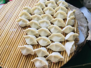 大肉西葫芦水饺的做法步骤：11