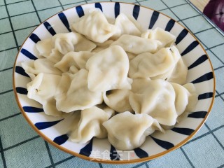 大肉西葫芦水饺的做法步骤：13