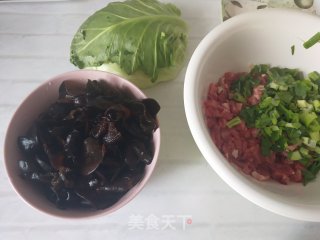 圆白菜木耳猪肉馅包子的做法步骤：2