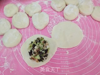 圆白菜木耳猪肉馅包子的做法步骤：9