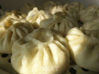 圆白菜木耳猪肉馅包子的做法步骤：10