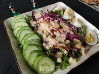鸡肉蔬菜沙拉的做法步骤：9