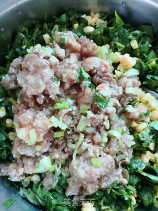 香菜猪肉玉米蒸饺的做法步骤：8