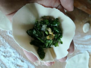 香菜猪肉玉米蒸饺的做法步骤：13