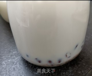 自制红豆甜酸奶的做法步骤：4