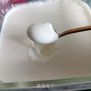 自制原味酸奶的做法步骤：12