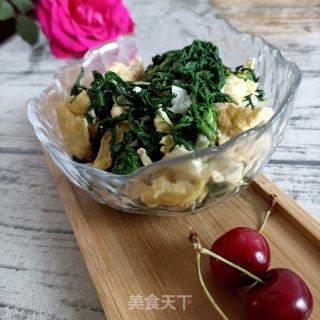 茼蒿叶子拌鸡蛋的做法步骤：16