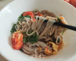 荞麦西红柿鸡蛋面的做法步骤：16