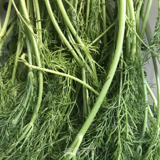 茴香煎饼的做法步骤：2