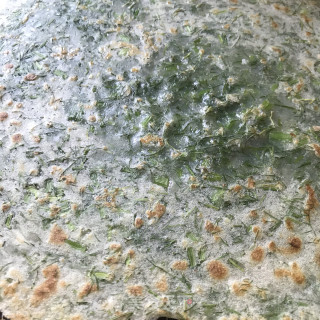 茴香煎饼的做法步骤：7