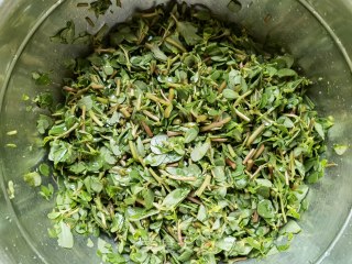葱油马齿苋窝窝的做法步骤：11