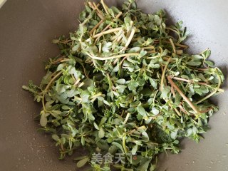 葱油炒马齿苋的做法步骤：11