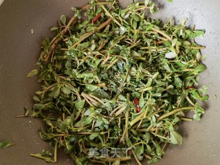 葱油炒马齿苋的做法步骤：13
