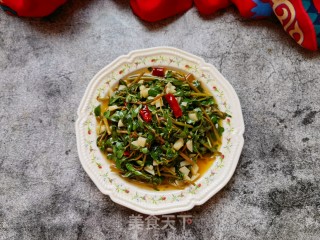 葱油炒马齿苋的做法步骤：15
