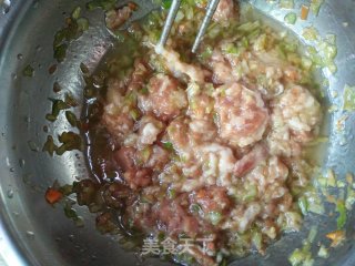 萝卜猪肉馅蒸饺的做法步骤：10