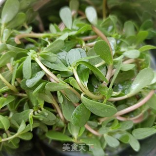马齿苋水炒蛋的做法步骤：1
