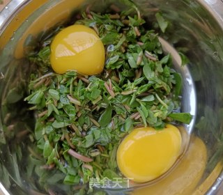 马齿苋水炒蛋的做法步骤：3
