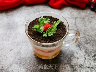 酸奶盆栽的做法步骤：12