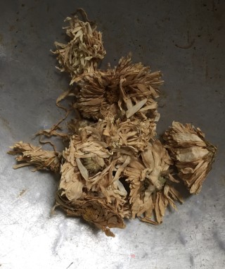 清热解毒明目茶的做法步骤：3