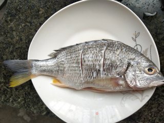 干煎海鲫鱼的做法步骤：1