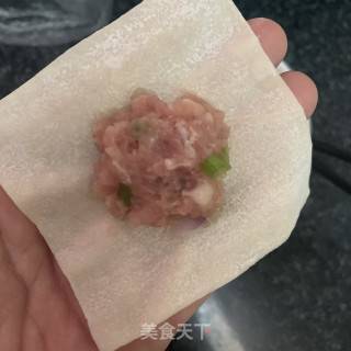 蒸云吞的做法步骤：6