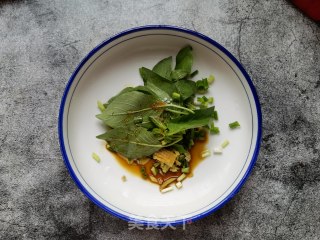 西红柿荆芥桑叶面的做法步骤：2