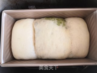 抹茶吐司的做法步骤：15