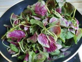 蒜蓉红苋菜的做法步骤：1
