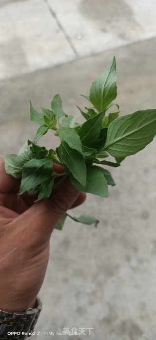 变蛋拌黄瓜的做法步骤：1