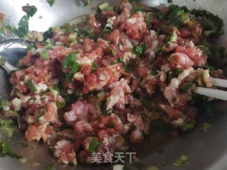 茴香馅水饺的做法步骤：2