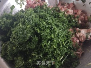 茴香馅水饺的做法步骤：3