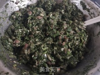茴香馅水饺的做法步骤：4